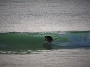 Surf at meia praia lagos portugal