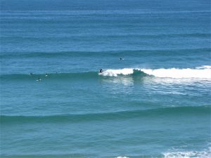 secret spot west coast surf hang five lunch view