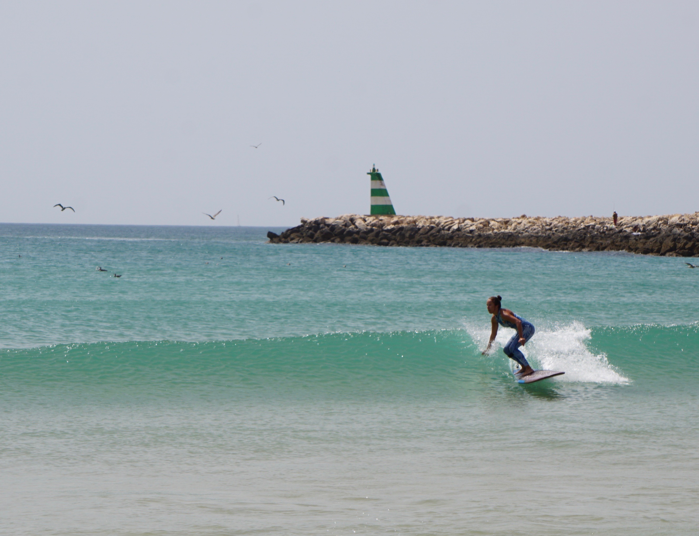 longboard surf meia praia Lagos