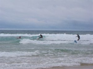 after lunch surf tonel surfguide guest