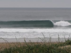 cordoama empty right hander surf