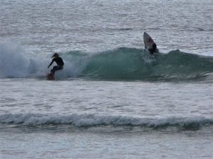 beliche small wave