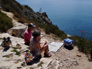 best company in the world for an after surf-picknick at Sagres- the end of the world.