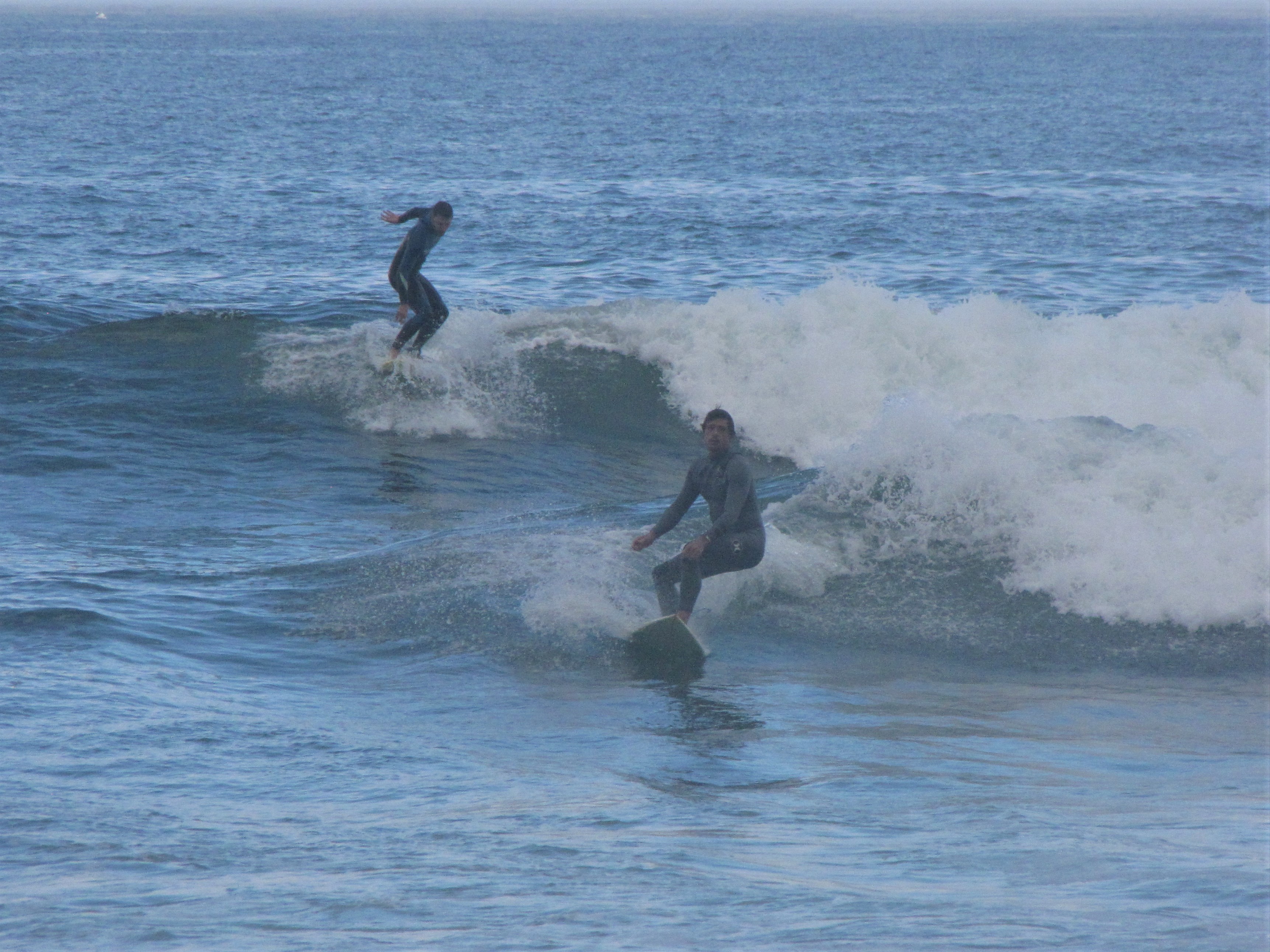 cordoama daniel and surfguide guest