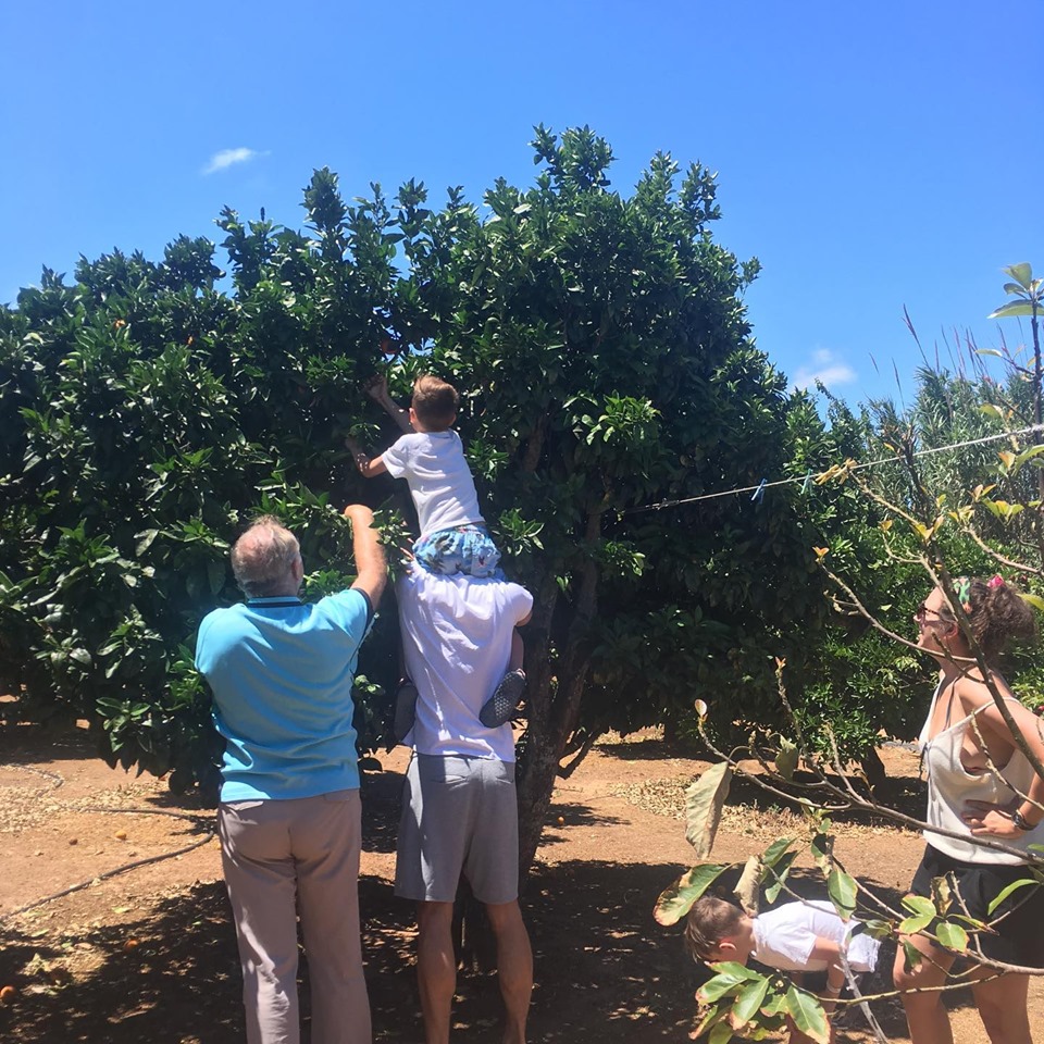 orange picking