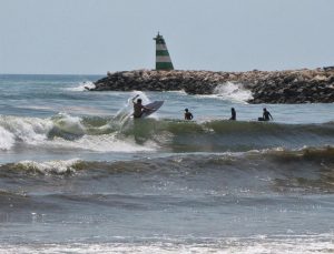 meia praia boardshorts