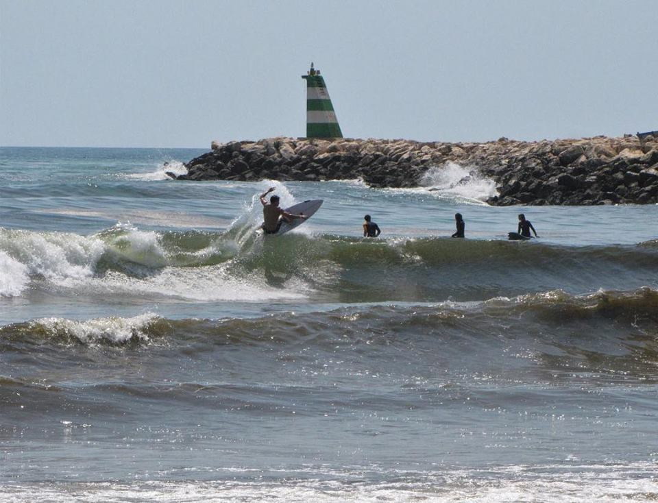 meia praia boardshorts