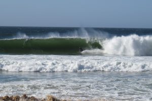 zavial big wave