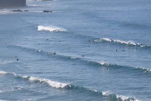 arrifana surf swell