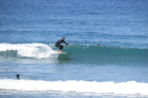 arrifana summer surf