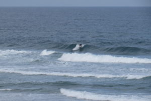 surfguide