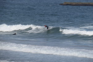 amado summer surf