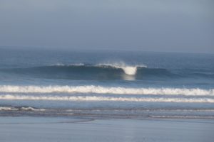 cordoama clean wave