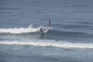 dutch surfer cordoama