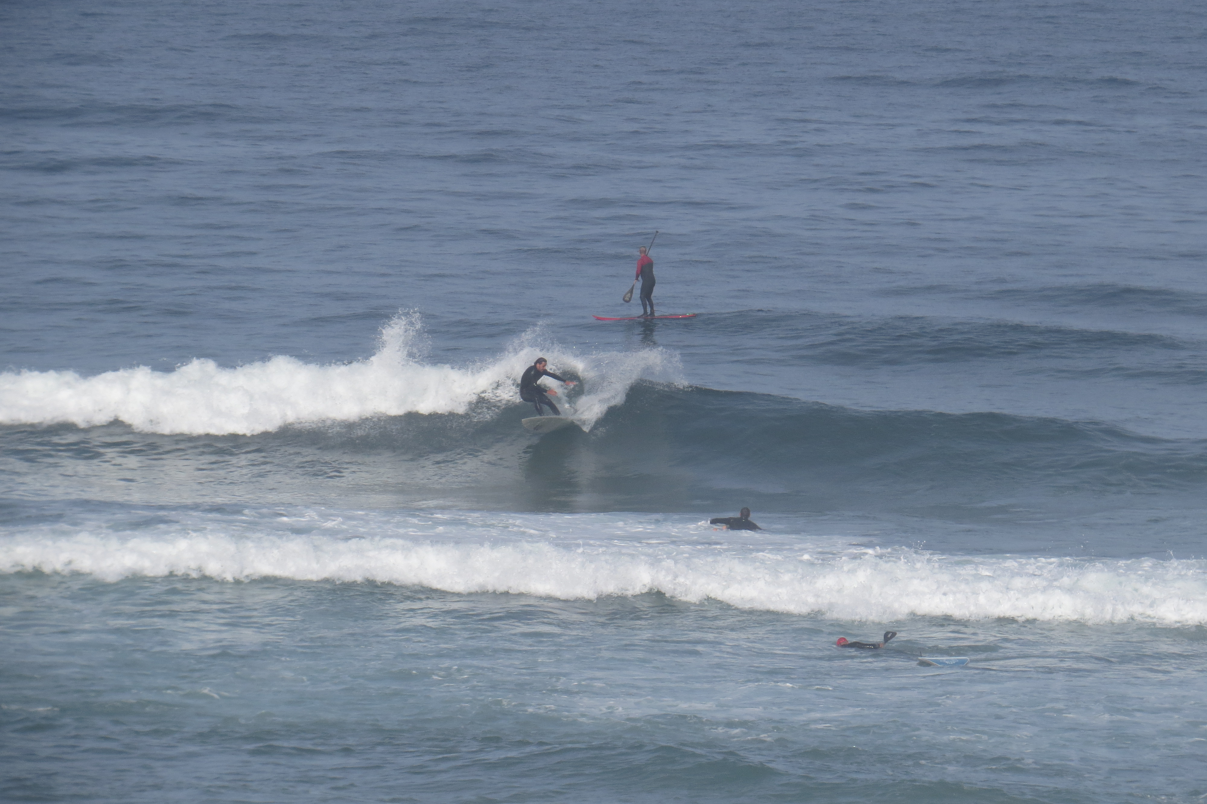 dutch surfer cordoama