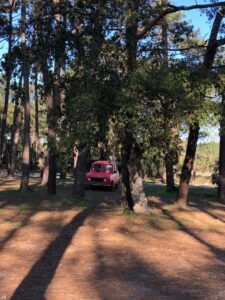 surf-car-in-the-bush-