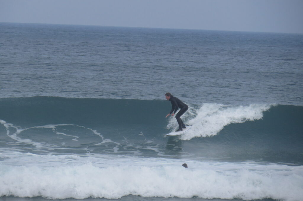 surfguide-guest-bordeira