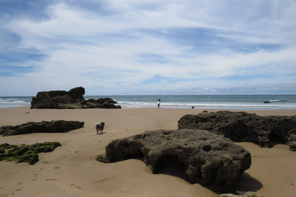 tonel-sagres-low-tide-surfguide-algarve-1