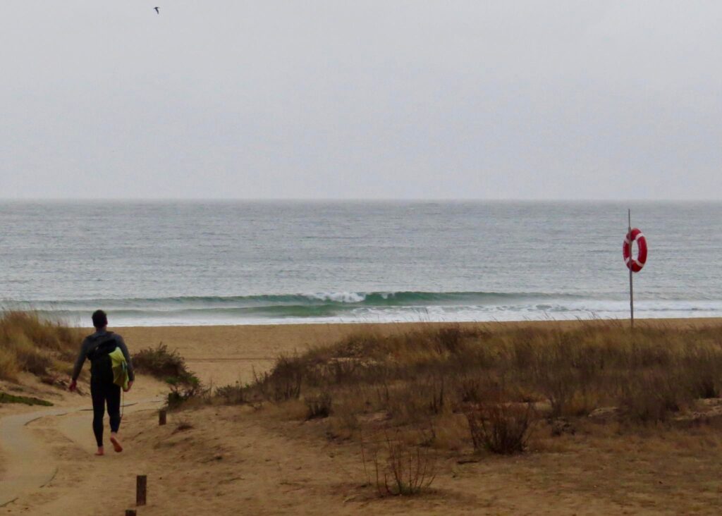 small-wave-perfection-meia-praia-lagos-surfguide-algarve