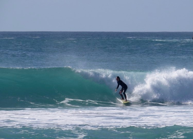 Ocean Life surfing Barranco with Surf Guide Algarve
