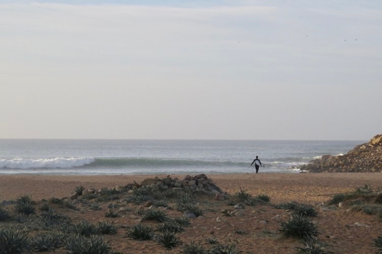 surfing Barranco with surf guide algarve