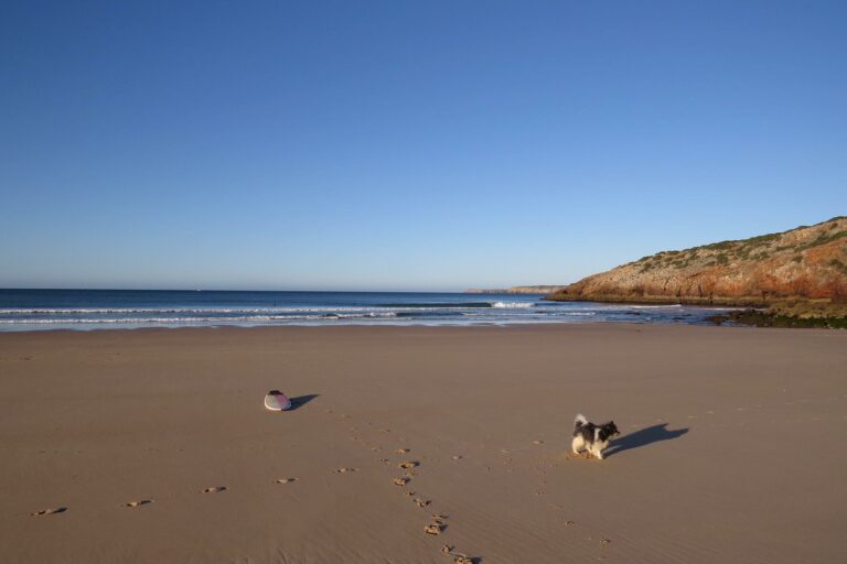 Zavial small wave empty beach surf guide algarve