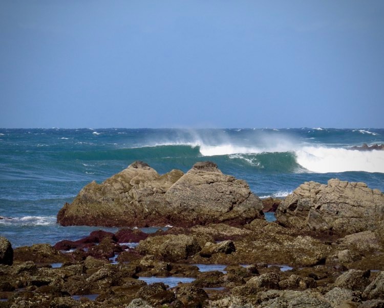 empty perfect waves arrifana surf guide algarve
