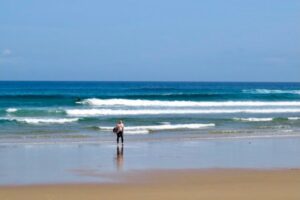 bordeira surfing surf guide algarve blue ocean