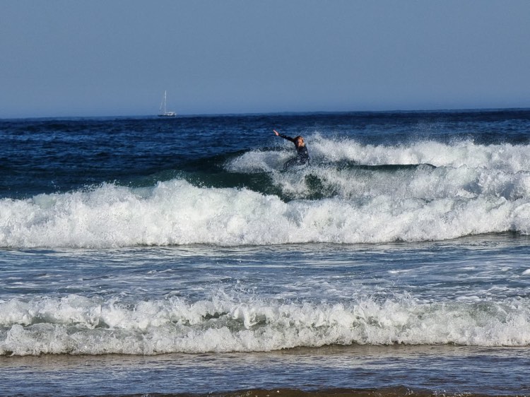 castelejo surfing fish surf guide algarve.