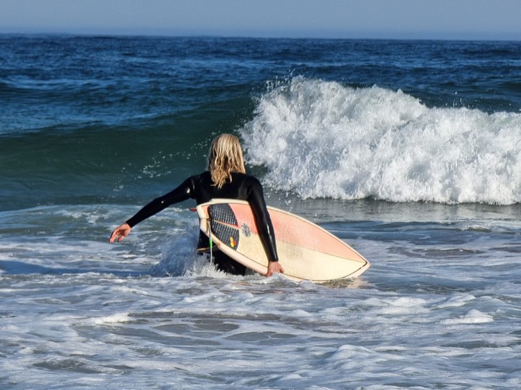 fish surfboard surf guide algarve