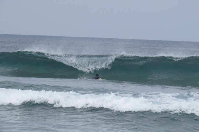 sagres tonel surfing set wave with surf guide algarve