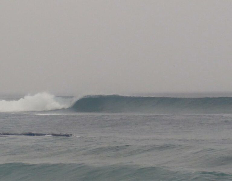 perfect left hand wave surfing cordoama surf guide algarve