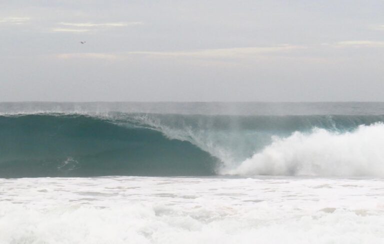 perfect wave barrel surf guide algarve