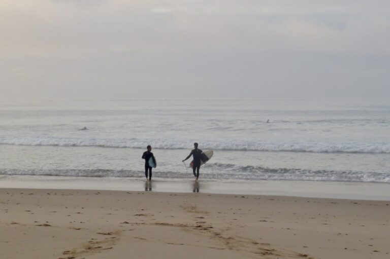 surf friends zavial surf guide algarve