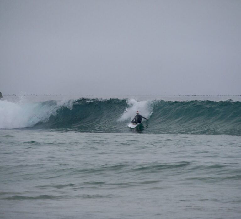 christmas surf left surf guide algarve