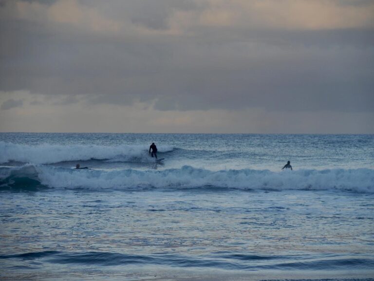 cordoama longboard surfer surf guide algarve