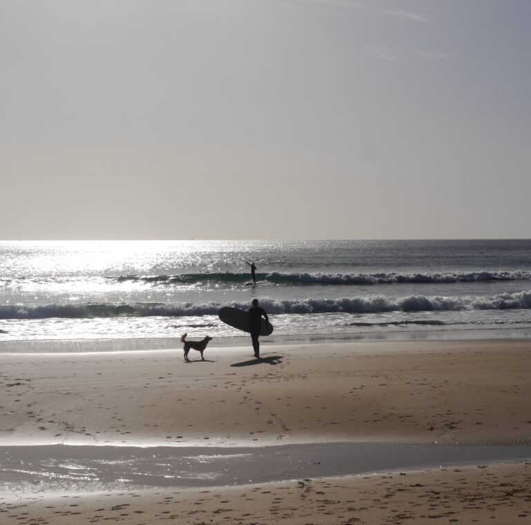 longboard sessions surf guide algarve