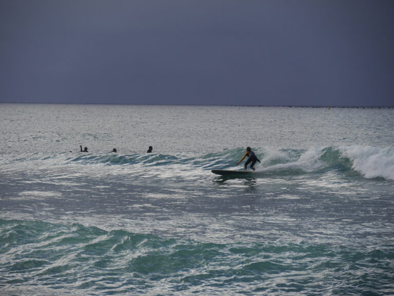 longboard surfing zavial surf guide algarve