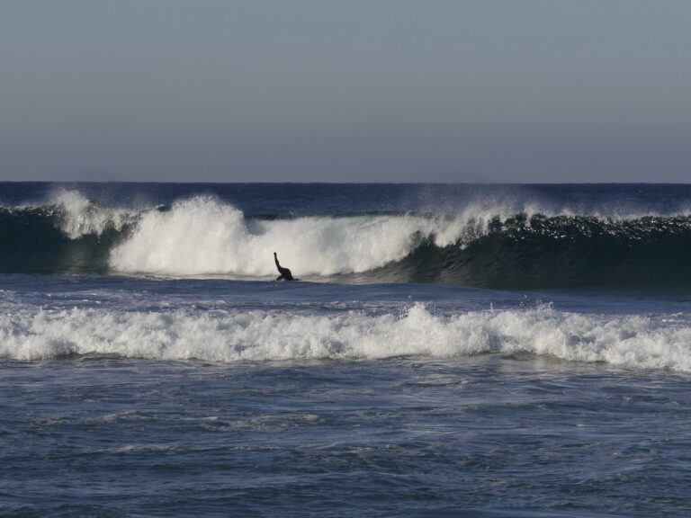 duck dive surf guide algarve