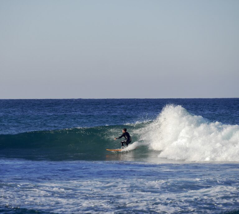 perfect wave surf guide algarve