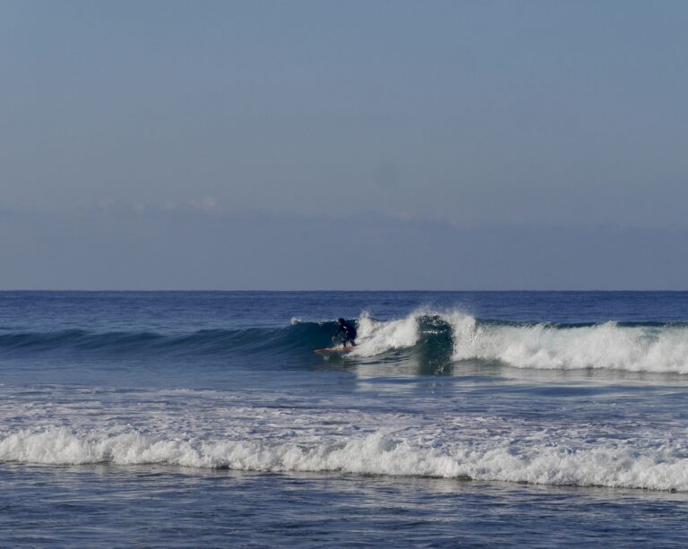 sagres surfing tonel with surf guide algarve