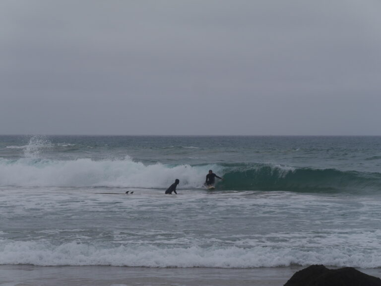 ingrina fun wave surf guide algarve