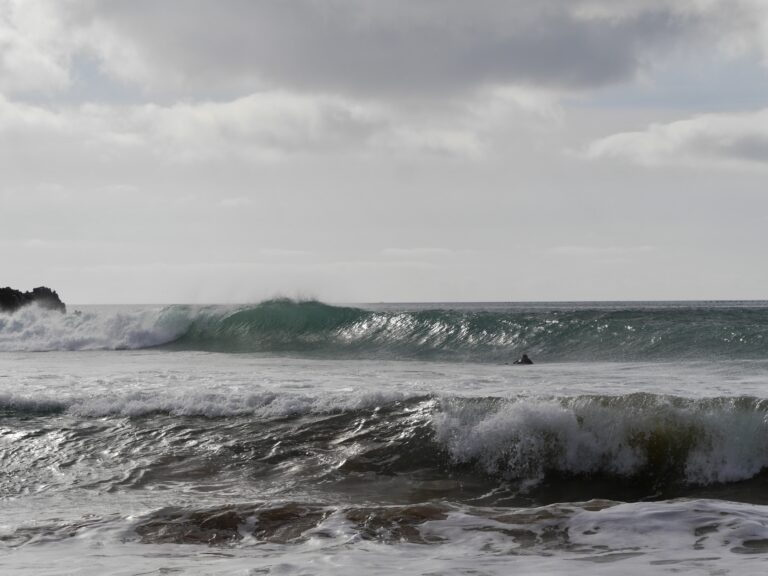 ingrina paddle out surf guide algarve