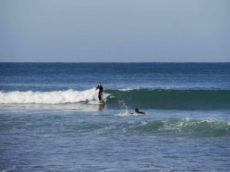 arrifana surf friends surf guide algarve