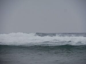 lefthand wave surfing catelejo surf guide algarve