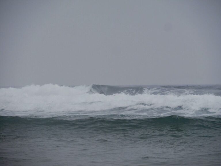 lefthand wave surfing catelejo surf guide algarve