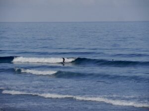 mellow waves surfing cordoama surf guide algarve
