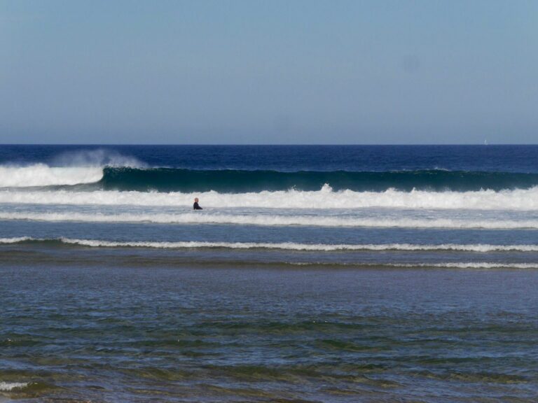 not your average summer waves surf guide algarve