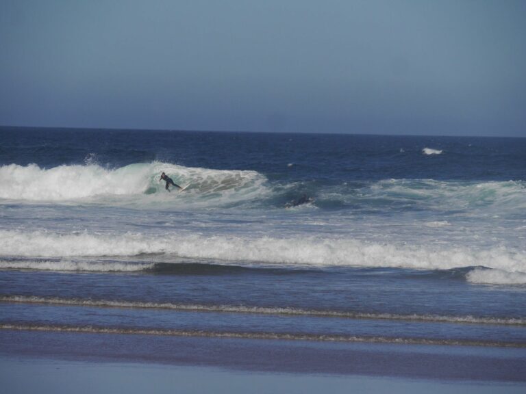 one wave west coast 3 surf guide algarve