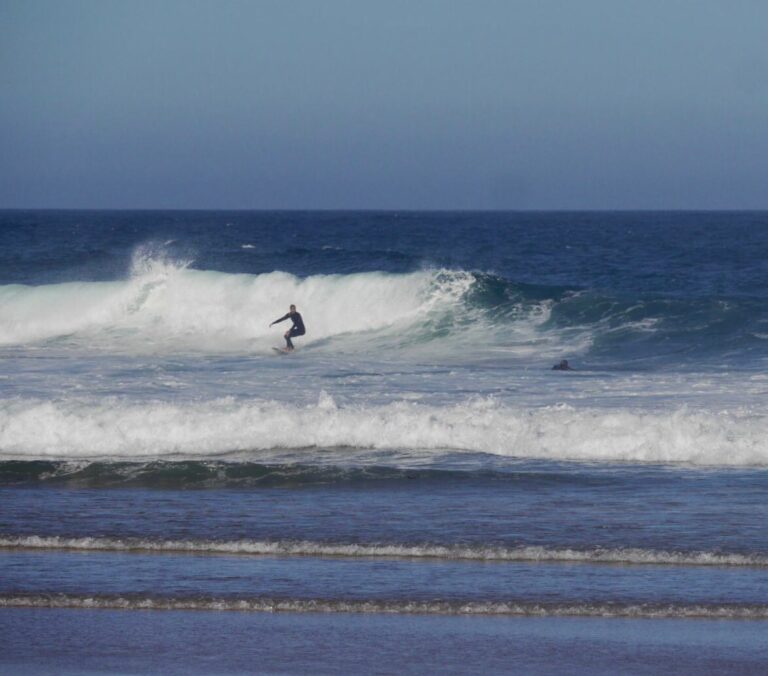 one wave west coast surf guide algarve